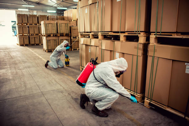 Best Rat Extermination Near Me  in Santa Clara, OR