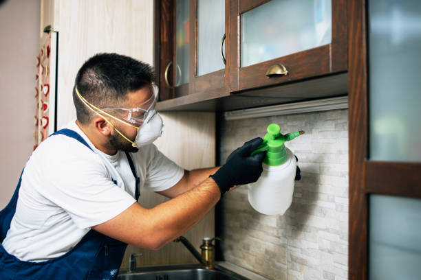 Best Affordable Pest Control Services  in Santa Clara, OR