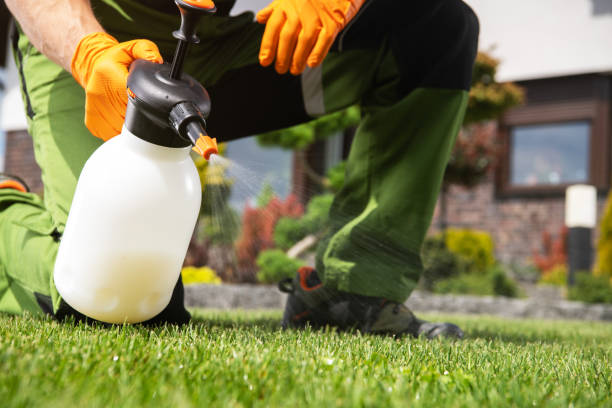 Best Wasp Removal Services  in Santa Clara, OR