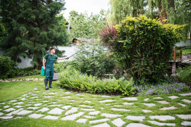 Professional Pest Control in Santa Clara, OR