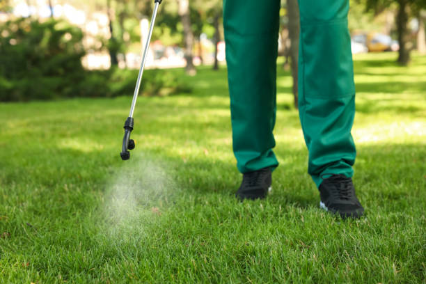 Best Pest Removal Services  in Santa Clara, OR