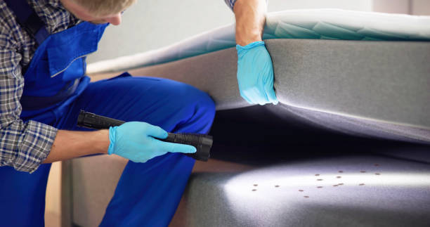 Best Mosquito Control Services  in Santa Clara, OR