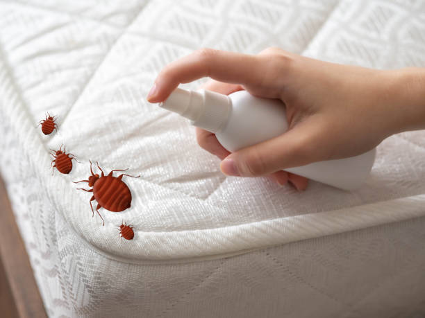 Best Cockroach Control Services  in Santa Clara, OR