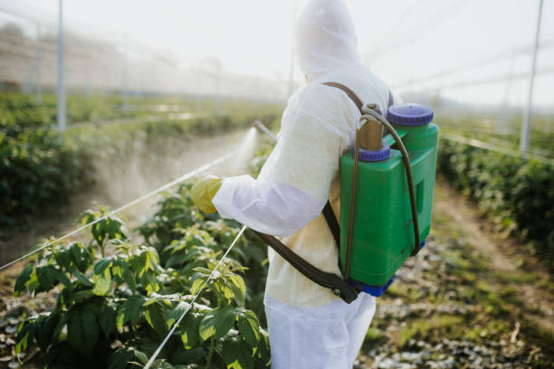 Best Local Pest Control Services  in Santa Clara, OR